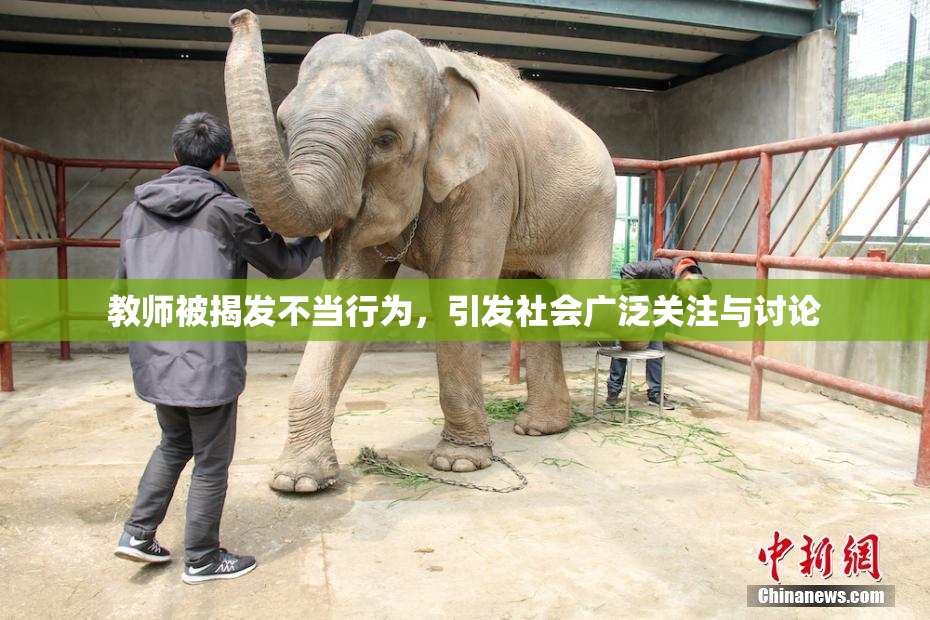 教师被揭发不当行为，引发社会广泛关注与讨论