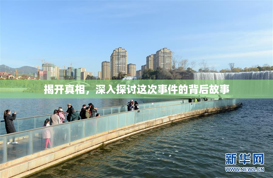 揭开真相，深入探讨这次事件的背后故事