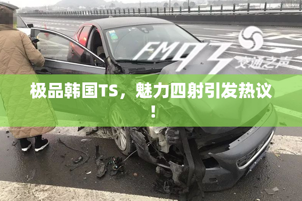极品韩国TS，魅力四射引发热议！