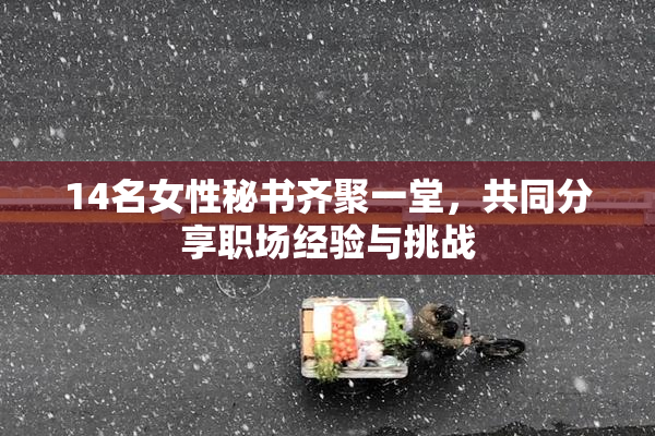 14名女性秘书齐聚一堂，共同分享职场经验与挑战
