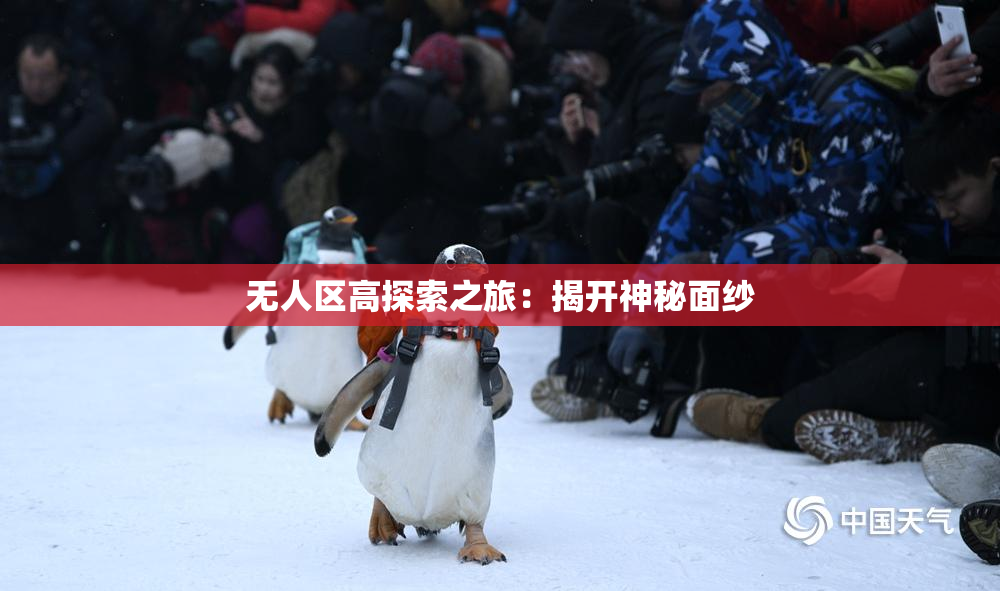 无人区高探索之旅：揭开神秘面纱