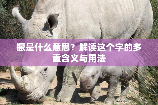 撅是什么意思？解读这个字的多重含义与用法