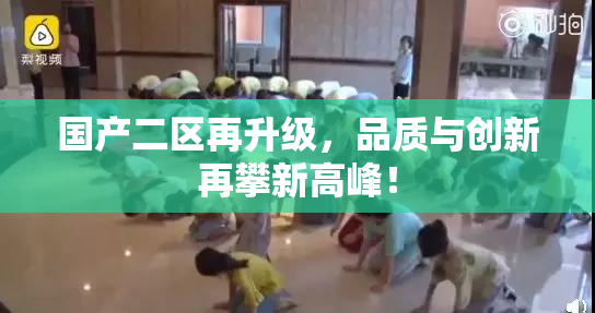 国产二区再升级，品质与创新再攀新高峰！