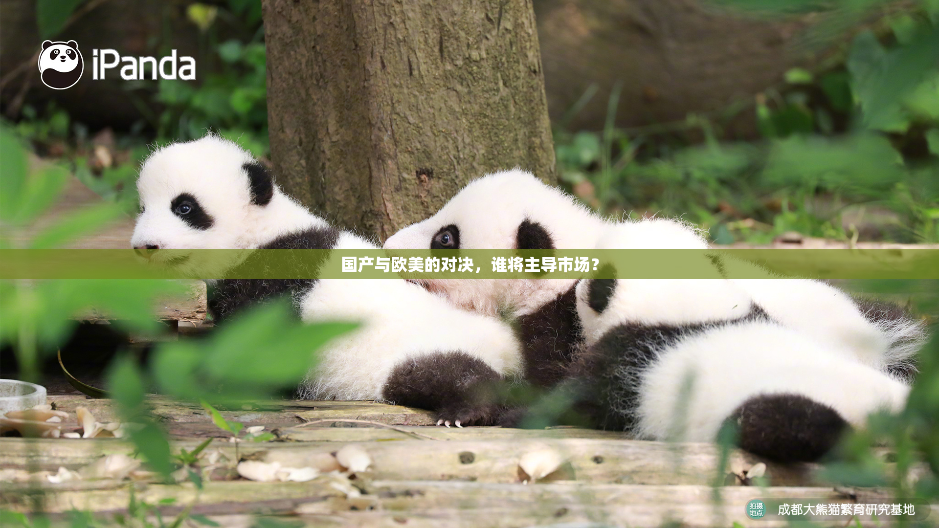 国产与欧美的对决，谁将主导市场？