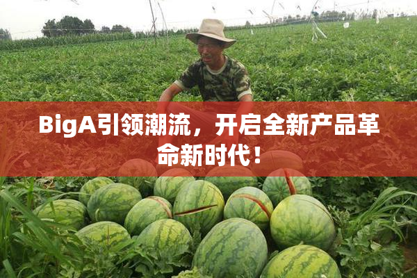 BigA引领潮流，开启全新产品革命新时代！