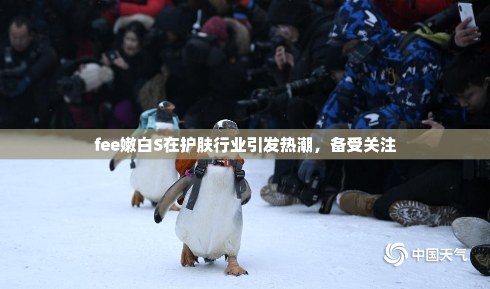 fee嫩白S在护肤行业引发热潮，备受关注