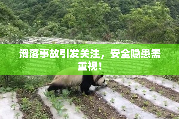 滑落事故引发关注，安全隐患需重视！
