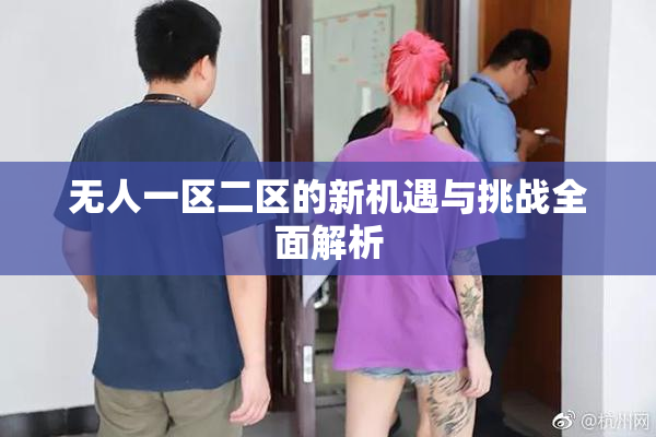 无人一区二区的新机遇与挑战全面解析