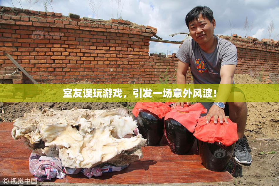 室友误玩游戏，引发一场意外风波！
