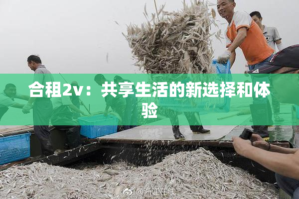 合租2v：共享生活的新选择和体验