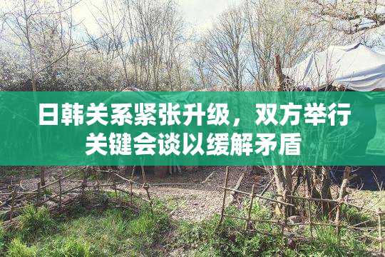 日韩关系紧张升级，双方举行关键会谈以缓解矛盾