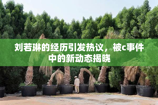 刘若琳的经历引发热议，被c事件中的新动态揭晓