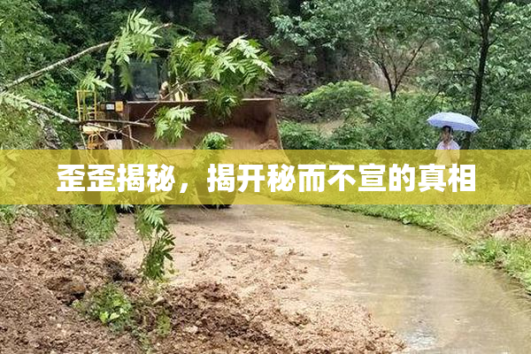 歪歪揭秘，揭开秘而不宣的真相