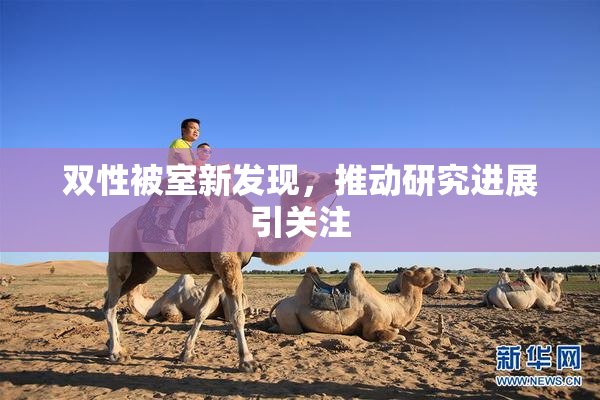 双性被室新发现，推动研究进展引关注