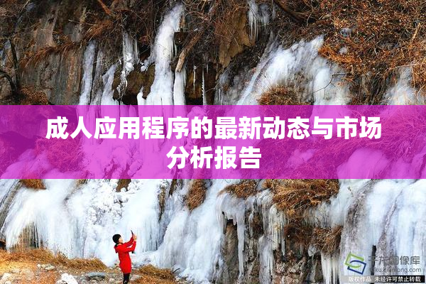 成人应用程序的最新动态与市场分析报告