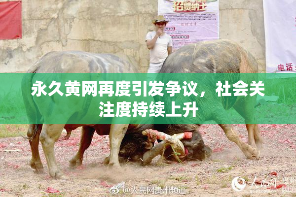 永久黄网再度引发争议，社会关注度持续上升