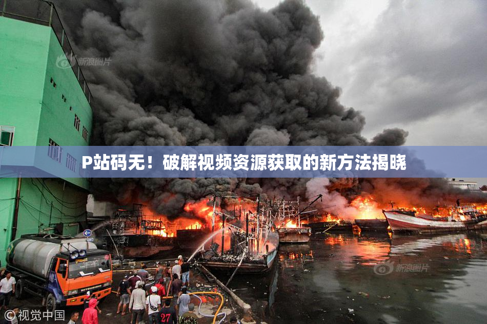 P站码无！破解视频资源获取的新方法揭晓