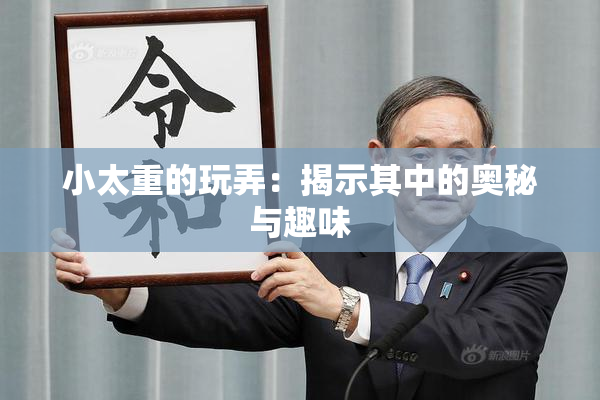 小太重的玩弄：揭示其中的奥秘与趣味