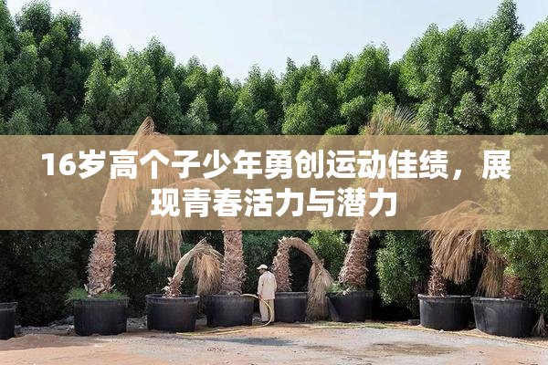 16岁高个子少年勇创运动佳绩，展现青春活力与潜力