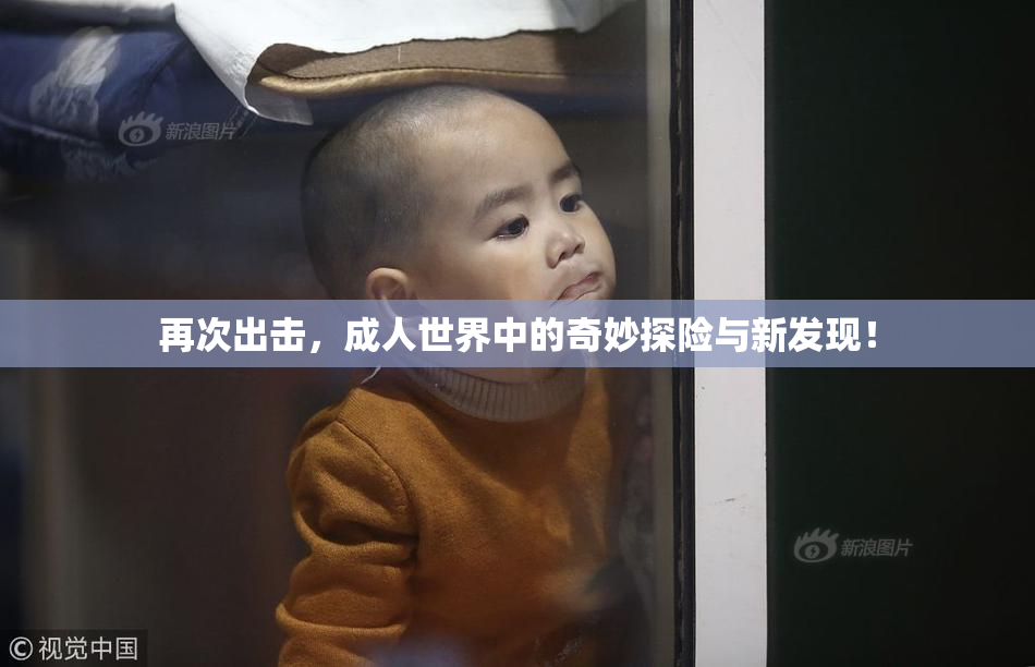 再次出击，成人世界中的奇妙探险与新发现！