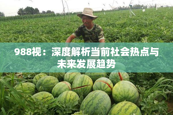988视：深度解析当前社会热点与未来发展趋势