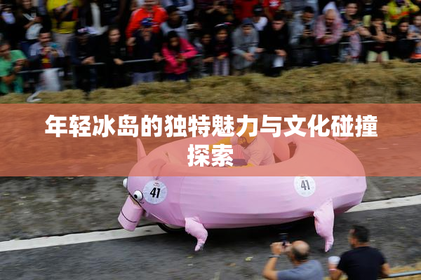 年轻冰岛的独特魅力与文化碰撞探索