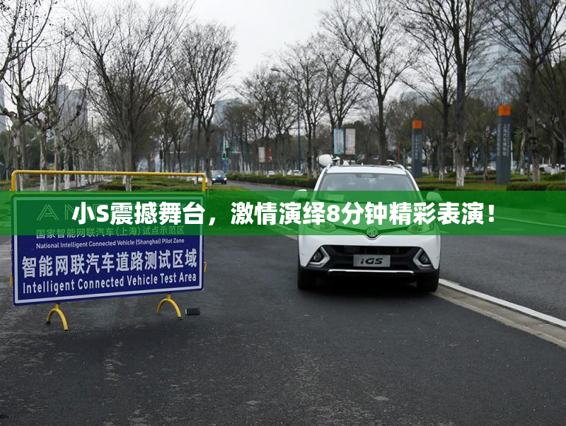 小S震撼舞台，激情演绎8分钟精彩表演！