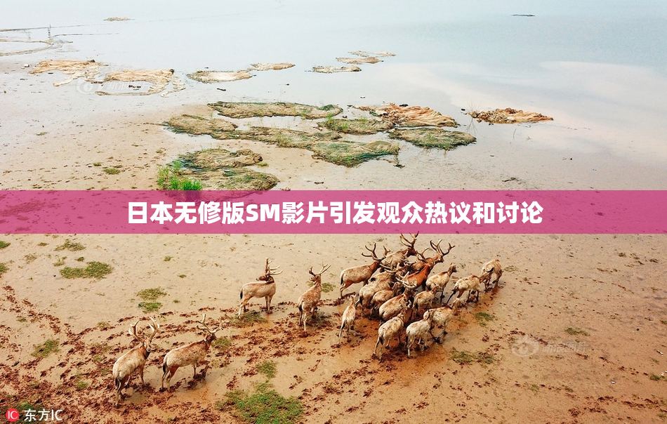 日本无修版SM影片引发观众热议和讨论
