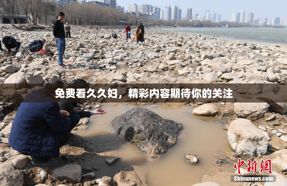 免费看久久妇，精彩内容期待你的关注