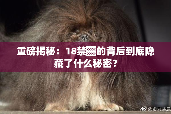 重磅揭秘：18禁▓的背后到底隐藏了什么秘密？