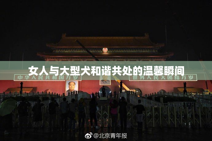 女人与大型犬和谐共处的温馨瞬间