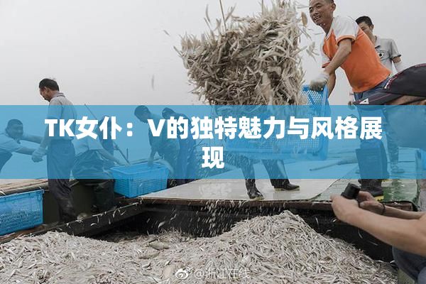 TK女仆：V的独特魅力与风格展现