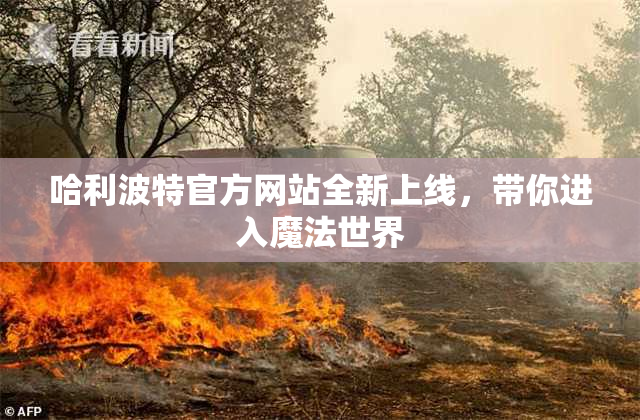 哈利波特官方网站全新上线，带你进入魔法世界