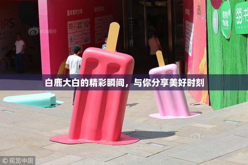 白鹿大白的精彩瞬间，与你分享美好时刻