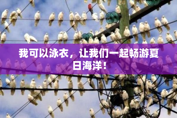 我可以泳衣，让我们一起畅游夏日海洋！