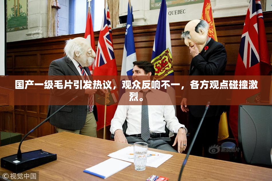 国产一级毛片引发热议，观众反响不一，各方观点碰撞激烈。
