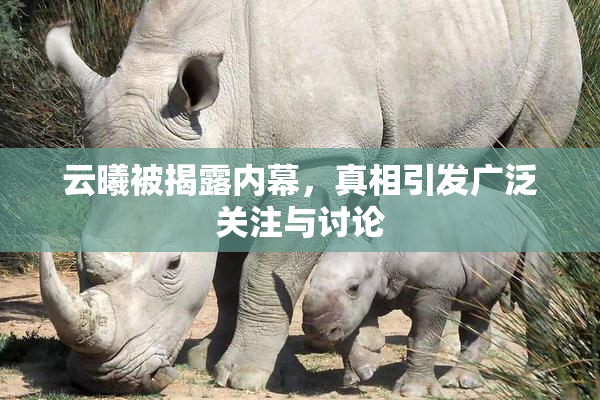云曦被揭露内幕，真相引发广泛关注与讨论