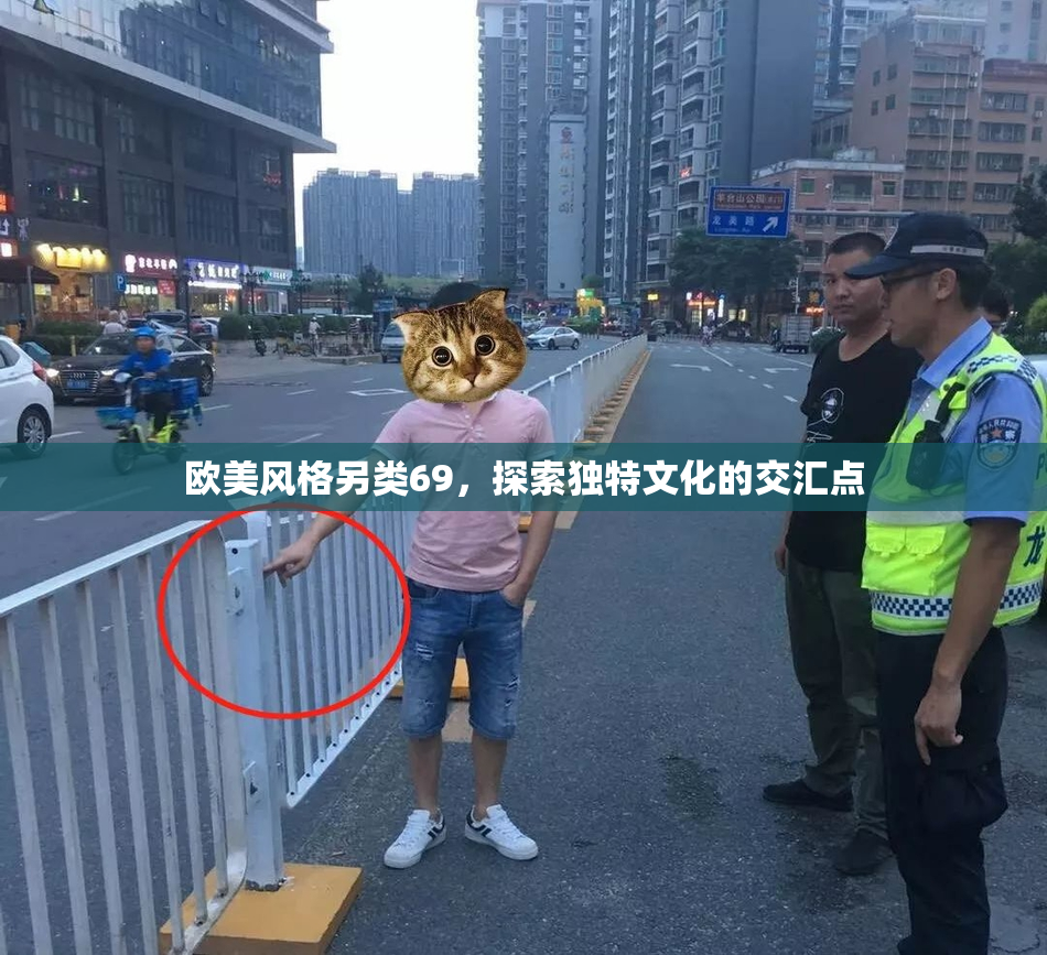 欧美风格另类69，探索独特文化的交汇点