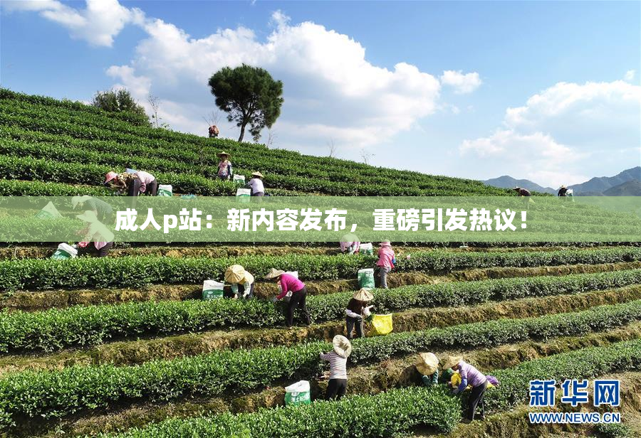 成人p站：新内容发布，重磅引发热议！