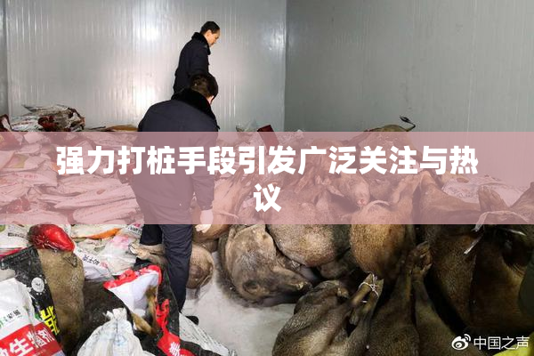 强力打桩手段引发广泛关注与热议