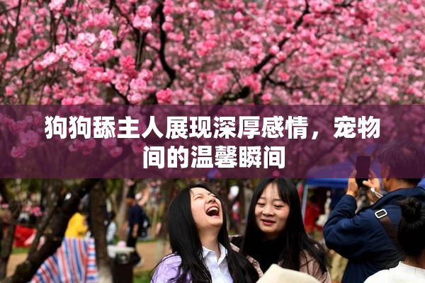 狗狗舔主人展现深厚感情，宠物间的温馨瞬间