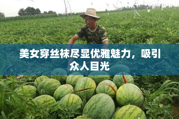 美女穿丝袜尽显优雅魅力，吸引众人目光