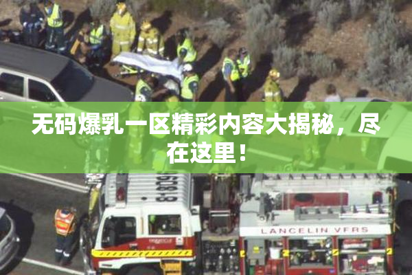 无码爆乳一区精彩内容大揭秘，尽在这里！