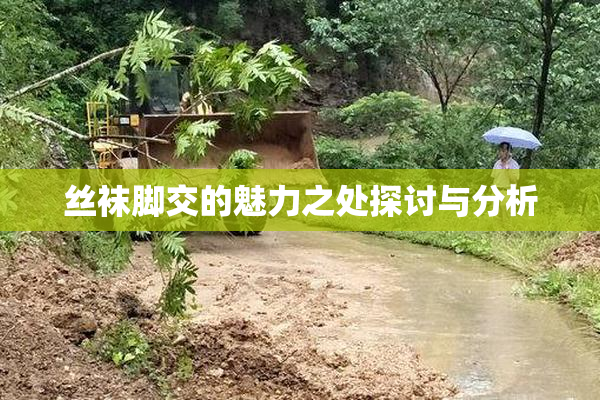 丝袜脚交的魅力之处探讨与分析