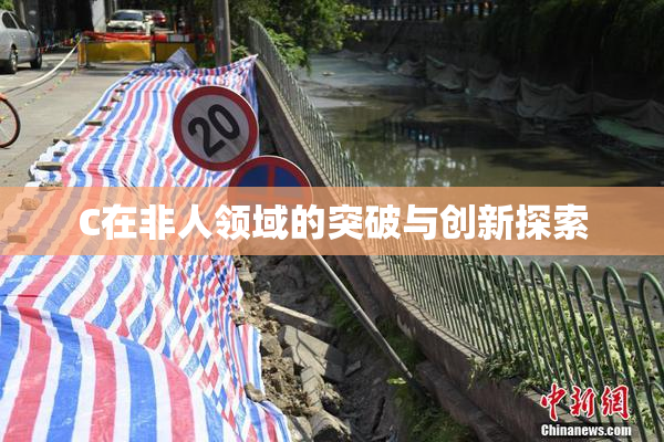 C在非人领域的突破与创新探索