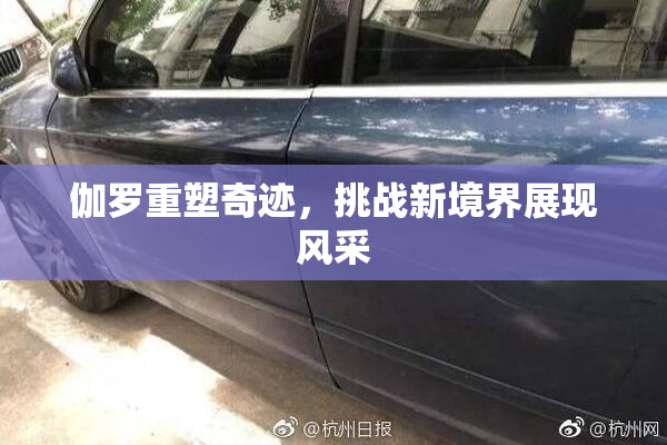 伽罗重塑奇迹，挑战新境界展现风采