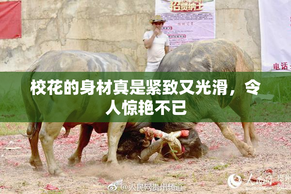 校花的身材真是紧致又光滑，令人惊艳不已
