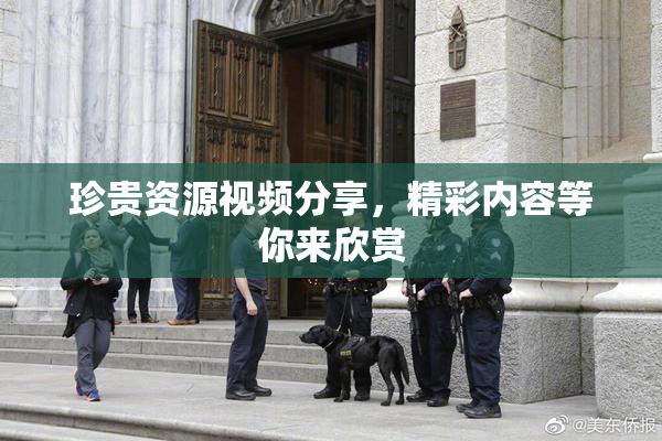 珍贵资源视频分享，精彩内容等你来欣赏