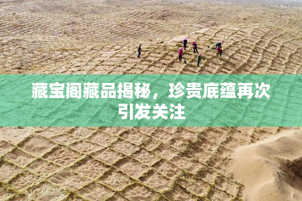 藏宝阁藏品揭秘，珍贵底蕴再次引发关注