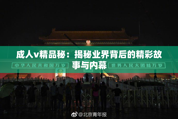 成人v精品秘：揭秘业界背后的精彩故事与内幕